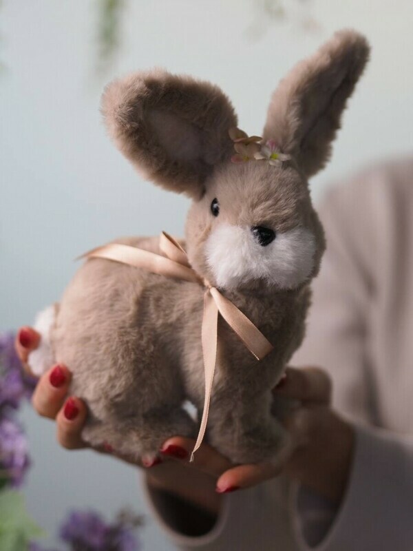 Plyushevij zajchik, standart