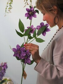 Клематис декоративный