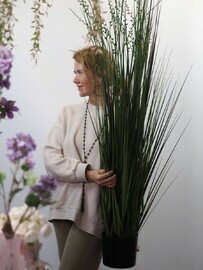 Злаки декоративные 150 см