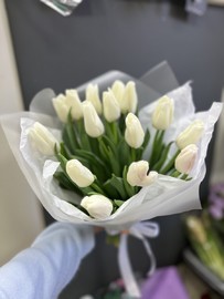 15 белых тюльпанов 