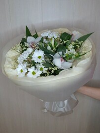 Нежные орхидеи