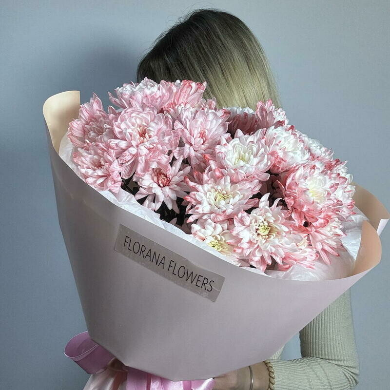 Pink Chrysanthemum, standart
