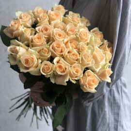 Buket iz 35 roz Pich Avalanzh