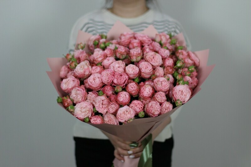 21 pionovidnaya kustovaya roza, 21 pionovidnaya kustovaya roza