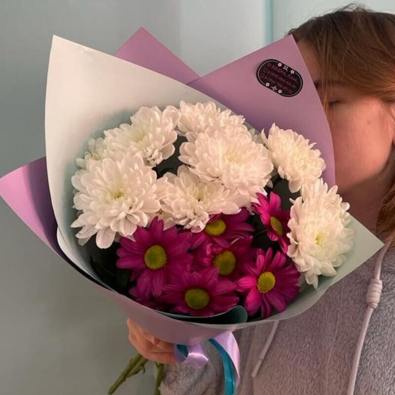 Hrizantemka fiol, standart