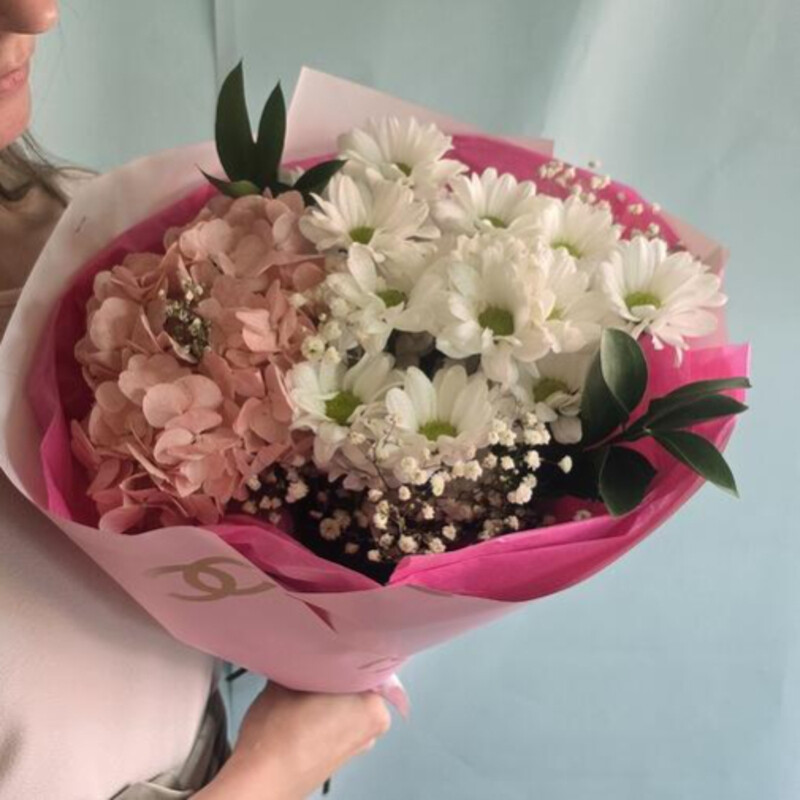 Гортензия, стандартный