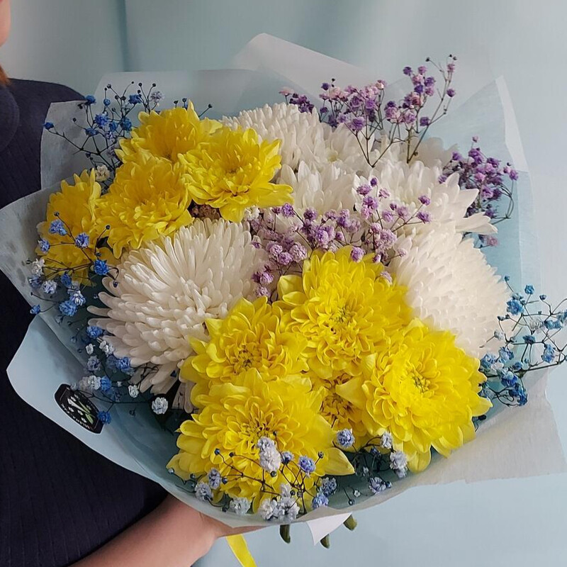 YArkoe oblachko, standart