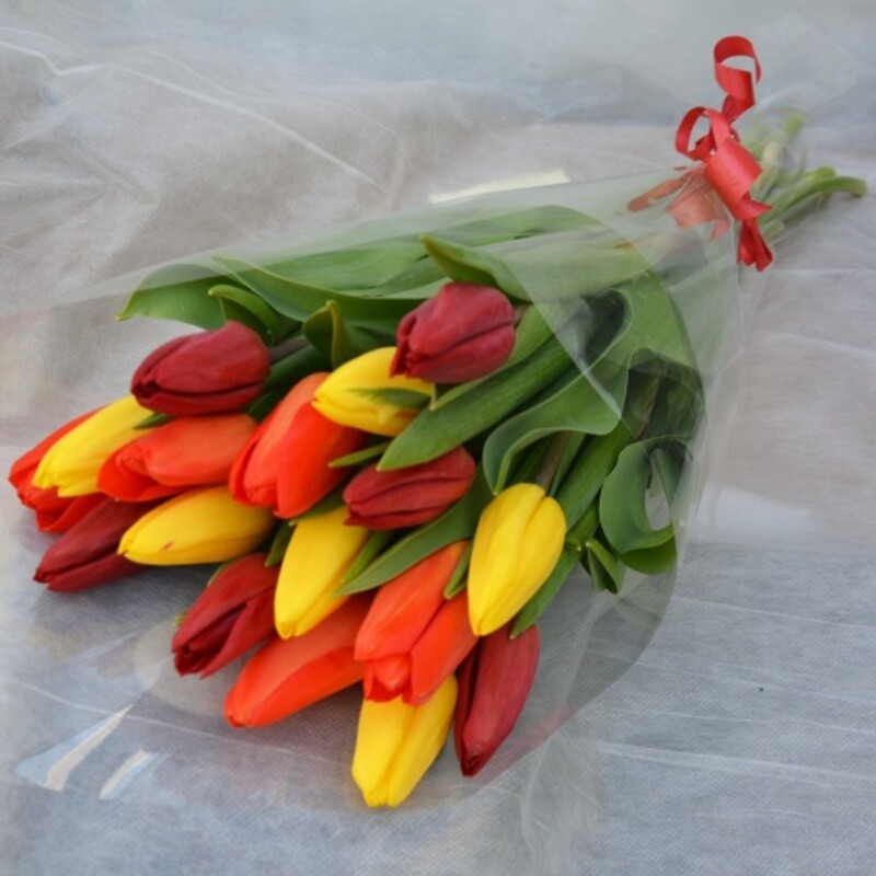 Тюльпан 17 шт, стандартный