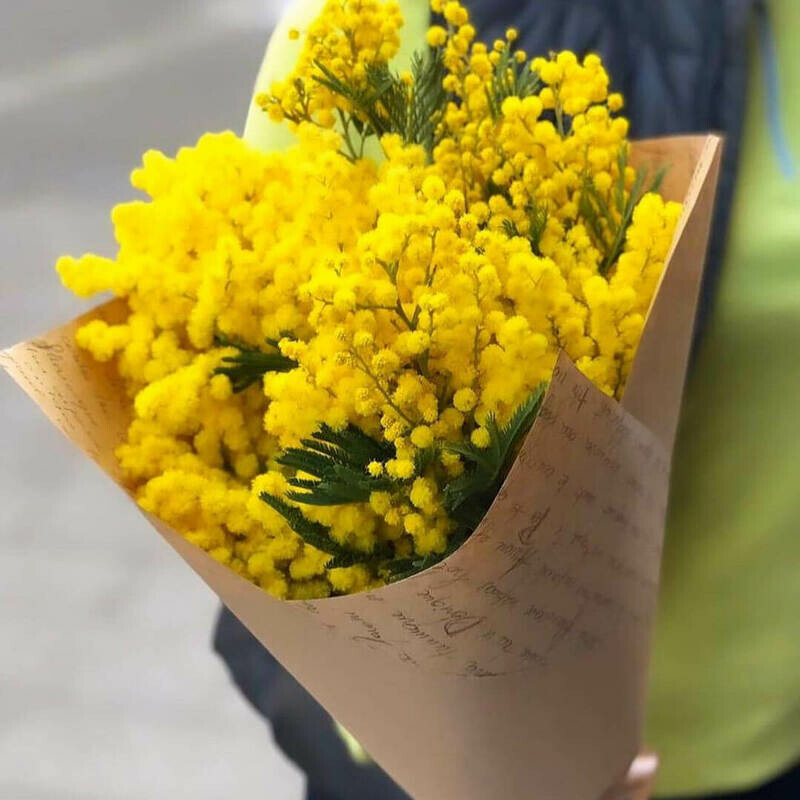 Мимоза 3 ветки, стандартный