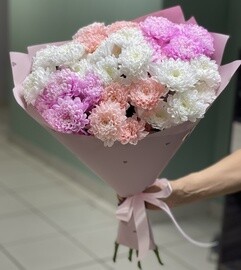 хризантема кустовая