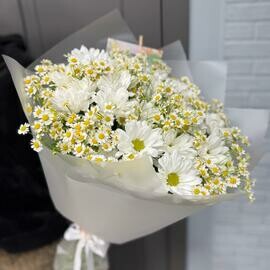 daisies