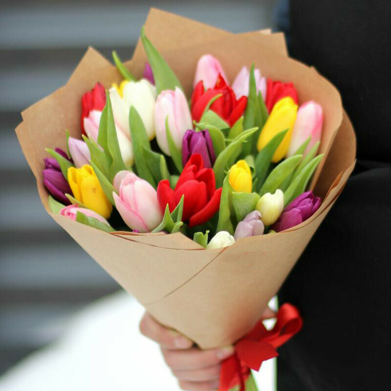 Тюльпан 21, стандартный