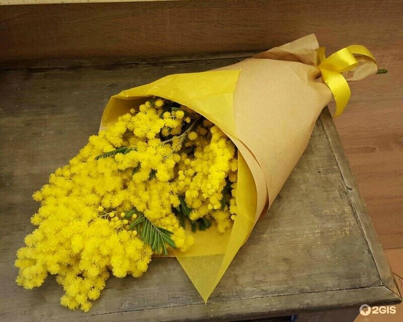 мимоза 5 веток , стандартный