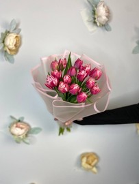 15 pionovidnih tyul_panov