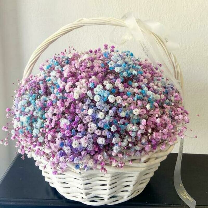Яркая красивая гипсофила в корзине, стандартный