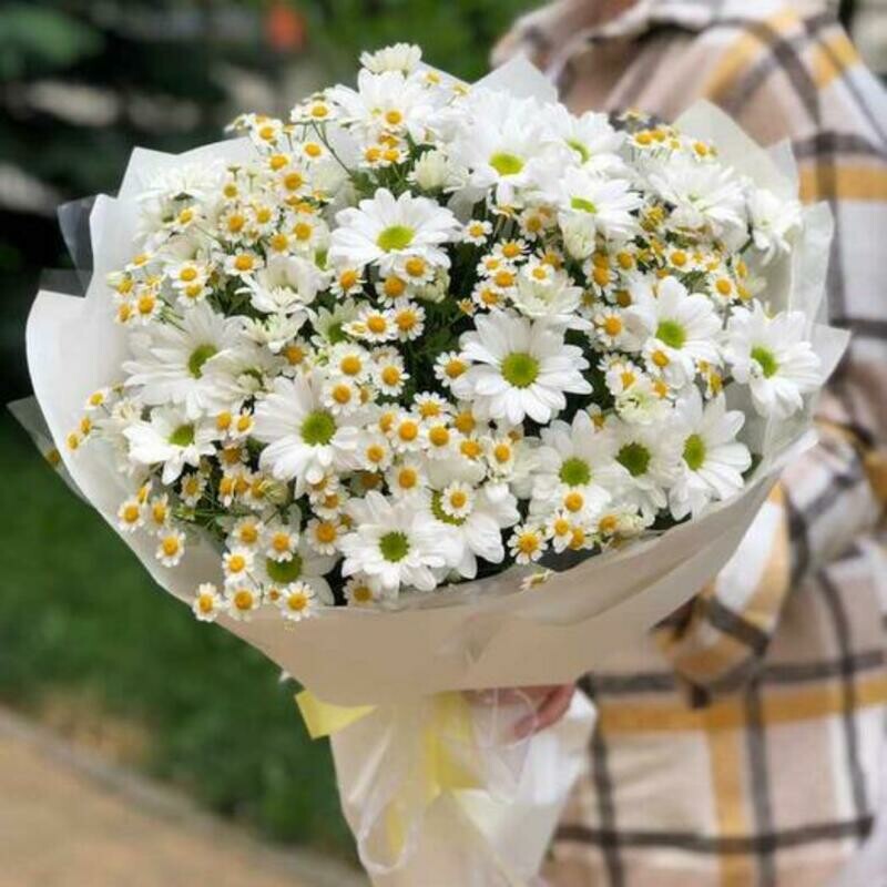 Букет из ромашек, стандартный
