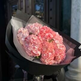 Гортензия в темном оформлении