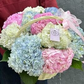 Korzina s tcvetami gortenzii