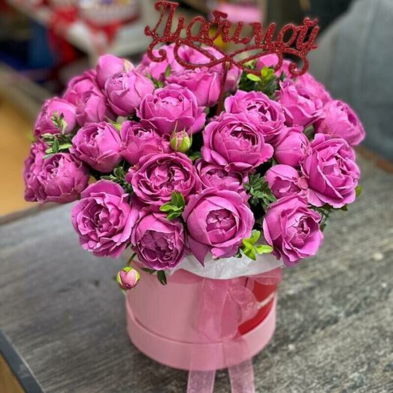 Misti v shlyapnoj korobke, standart