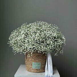 Корзина из гипсофилы 5