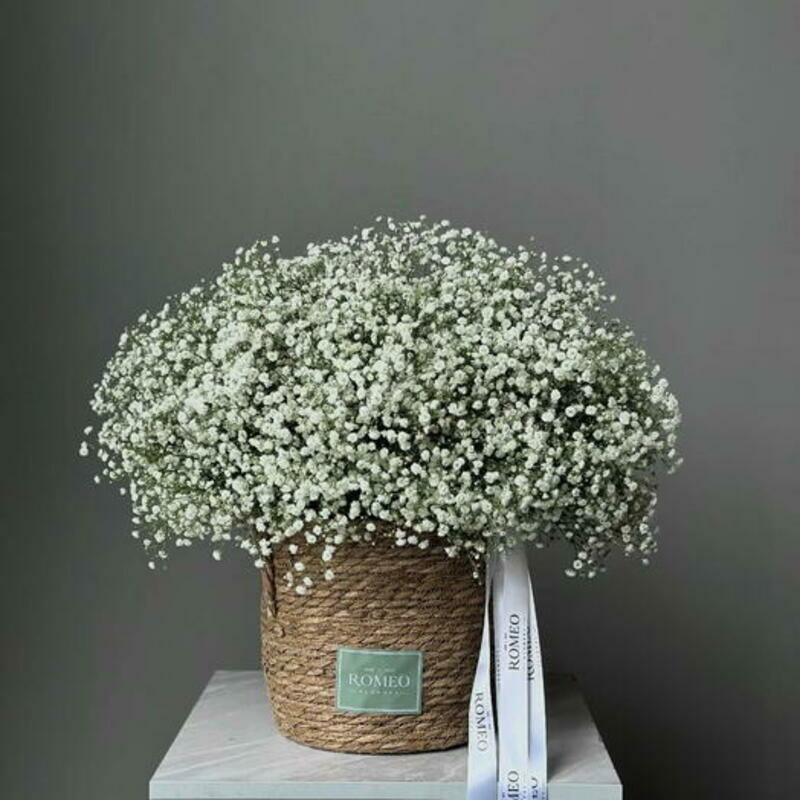 Корзина из гипсофилы 5, стандартный