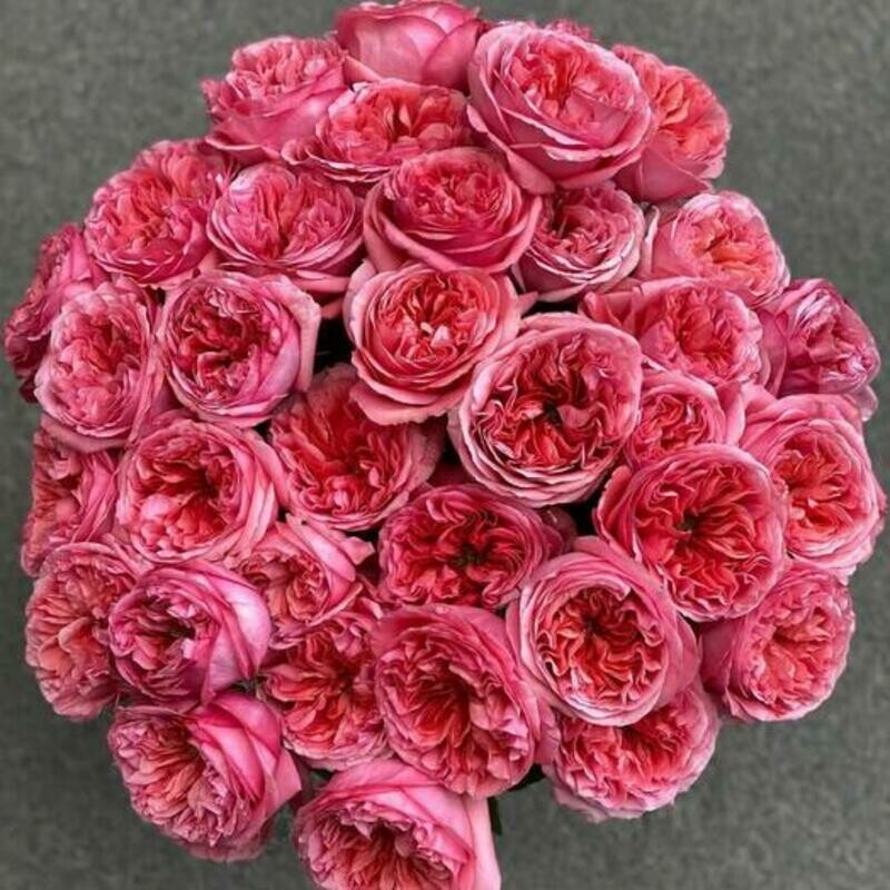 Buket iz pionovidnih roz, luxe