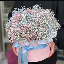 Шляпная коробка с гипсофилой