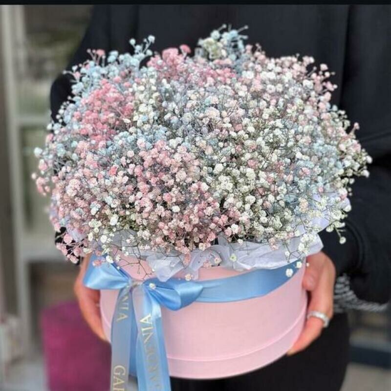 Шляпная коробка с гипсофилой, стандартный