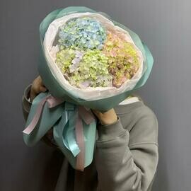 Гортензия 8