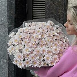 Цветы нежный Букет хризантема