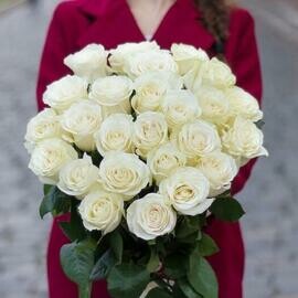Цветы белые розы 5