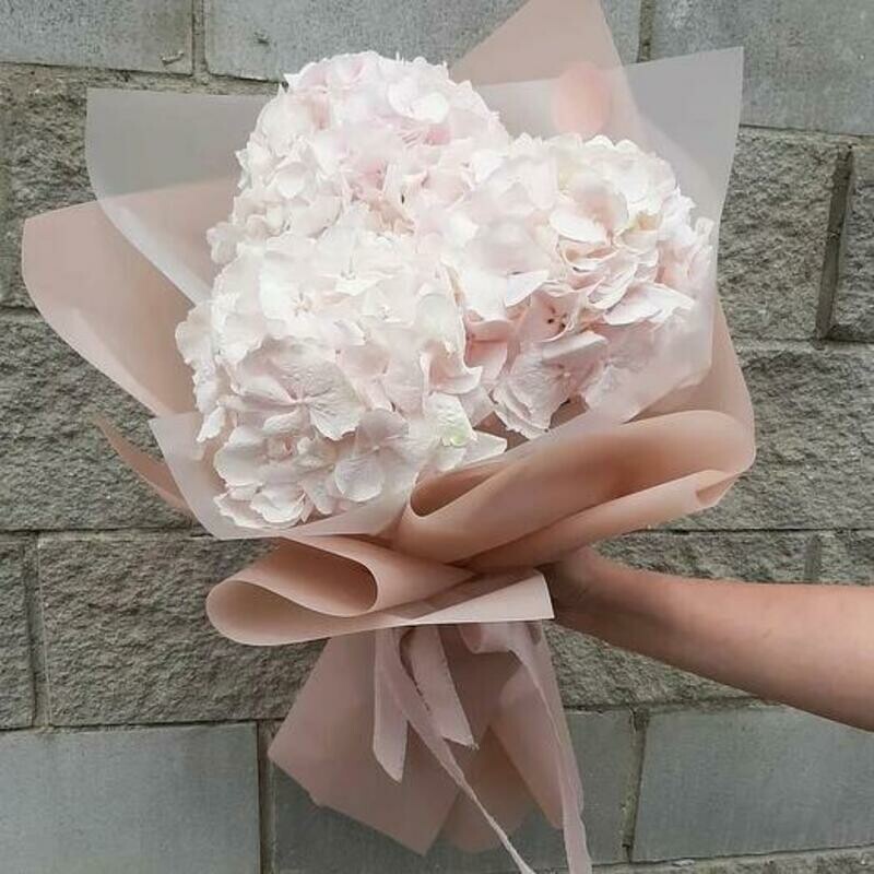 Гортензия в оформлении 2, стандартный