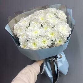 Нежный букет цветы хризантема