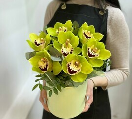 Zelenie orhidei v shlyapnoj korobke mini