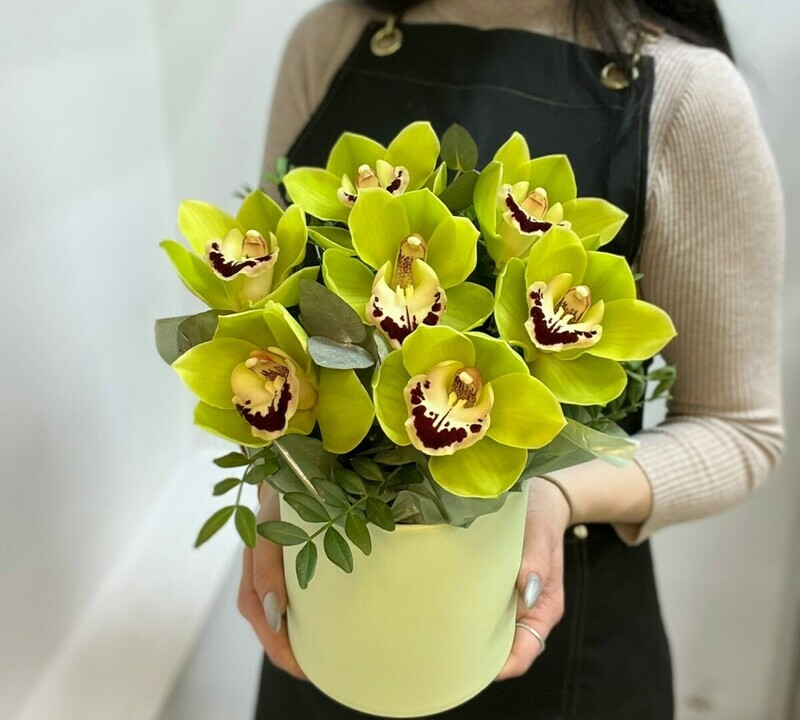 Зеленые орхидеи в шляпной коробке мини, зеленые орхидеи в шляпной коробке мини