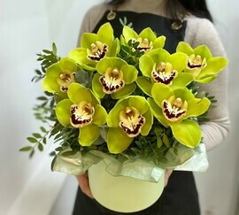 Зеленые орхидеи в коробке