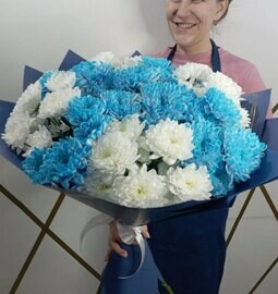 Бело-голубые хризантемы