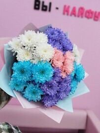 Разноцветные хризантемы 