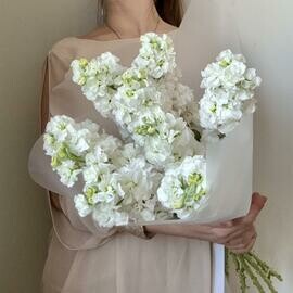 Букет из ароматной белой матиолы