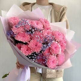 Buket rozovih hrizantema i gipsofili