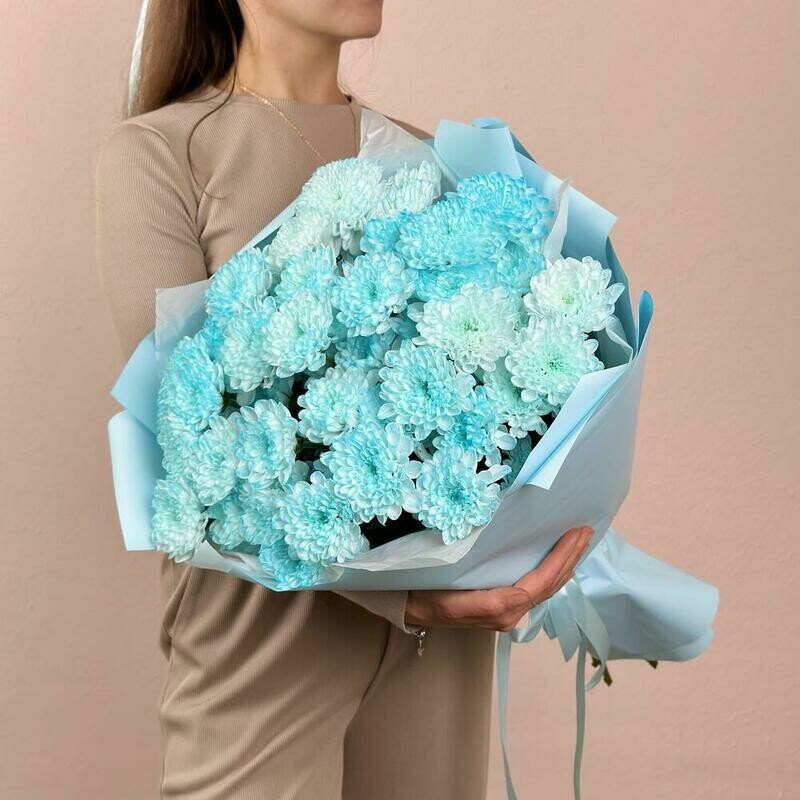 Букет голубых хризантем, букет голубых хризантем