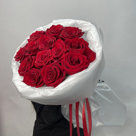 Buket iz 13 Ekvadorskih krasnih roz