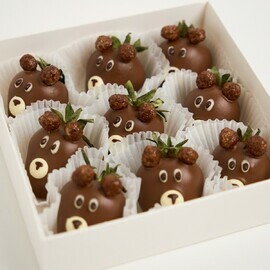 Nabor «Barni» s klubnikoj v shokolade, 6-9 yagod