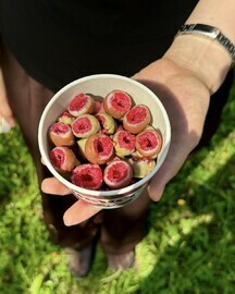 Малина Микс вкусов