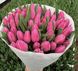 Buket iz 51 tyul_pana