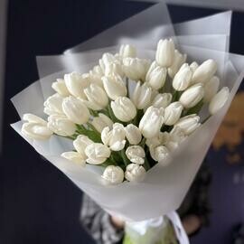 Белые тюльпаны