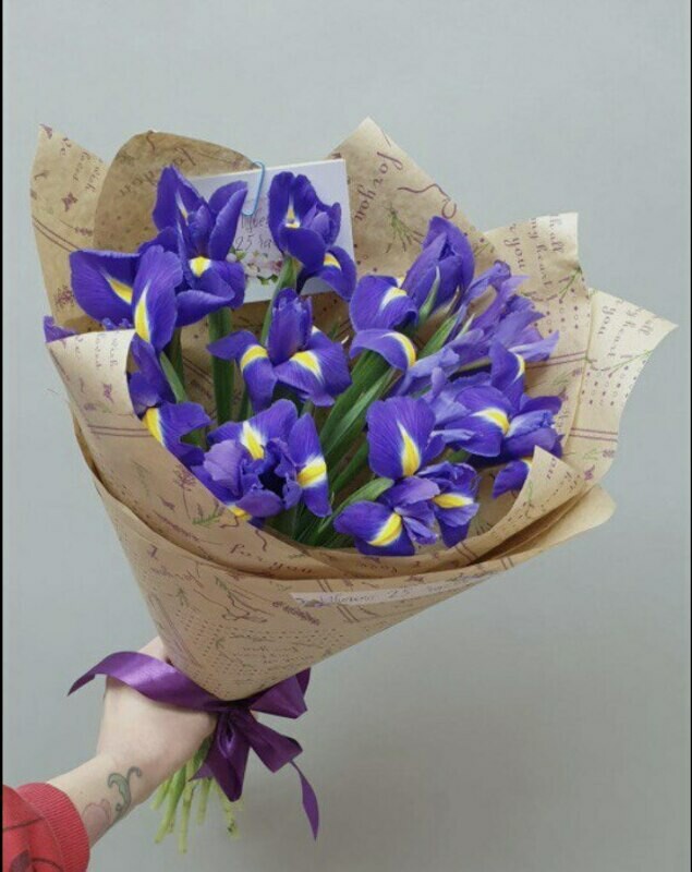 Iris 15 shtuk, iris sinij