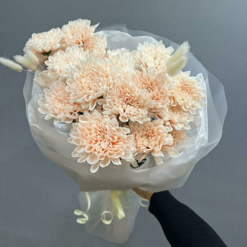 Кустовые хризантемы с лагурусом, кустовые хризантемы с лагурусом