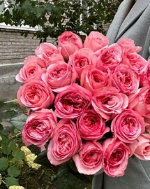 Buket pionoviidnih roz