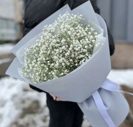 Воздушная гипсофила